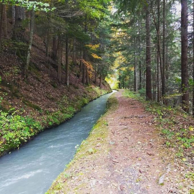 Chambre Ou Gite Dans Une Maison De Montagne - De Suzon A Zelie Entraigues  Exteriér fotografie