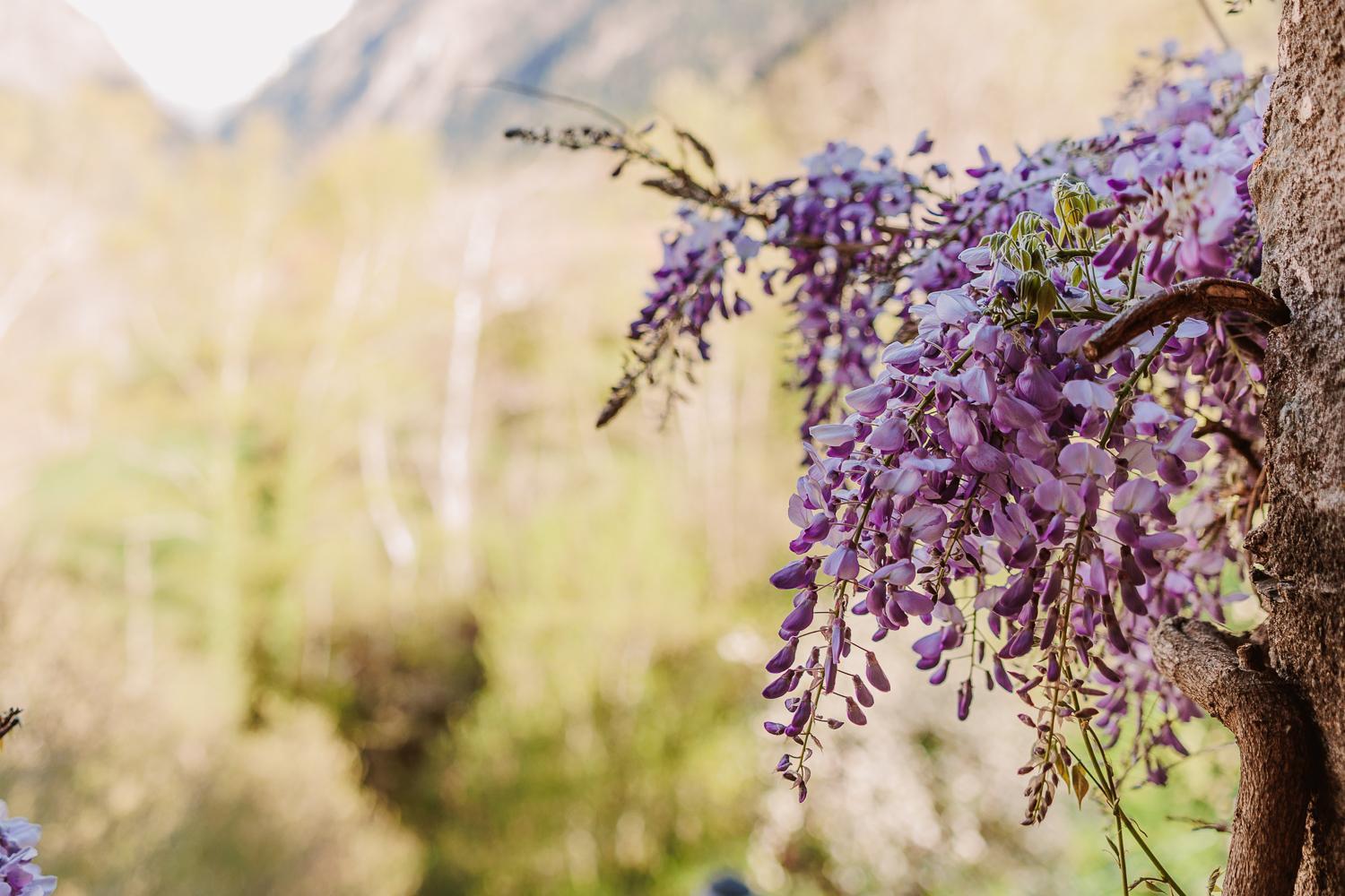 Chambre Ou Gite Dans Une Maison De Montagne - De Suzon A Zelie Entraigues  Exteriér fotografie
